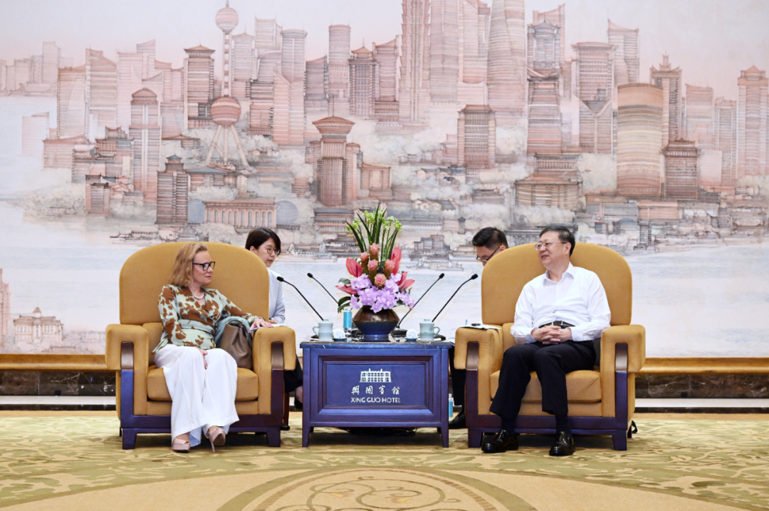 陈吉宁会见外企高管